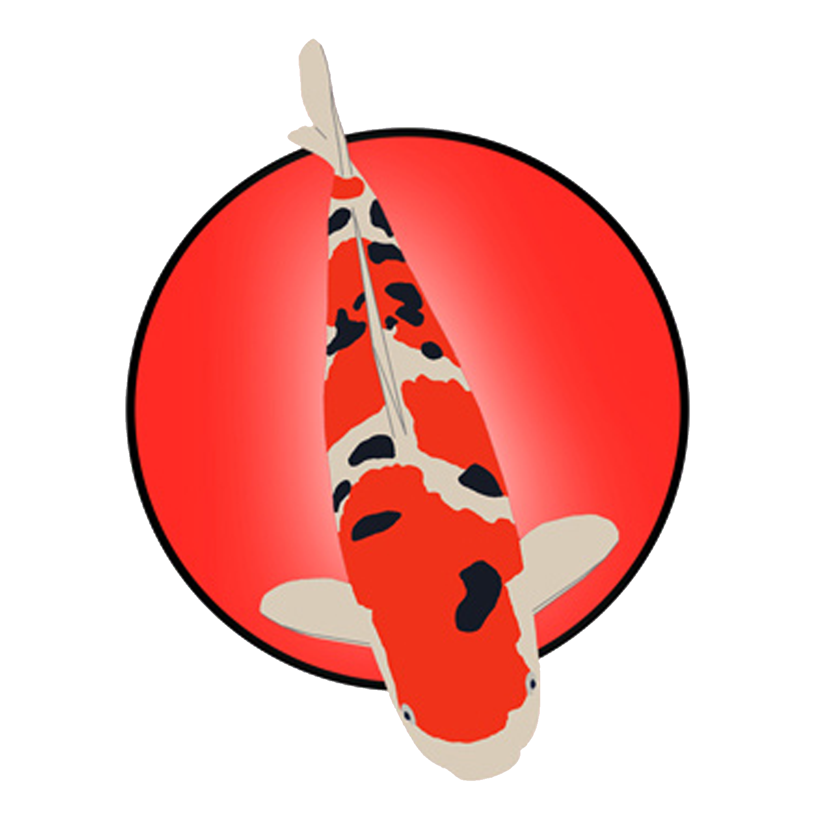 Grey's Koi Grey's Koi
